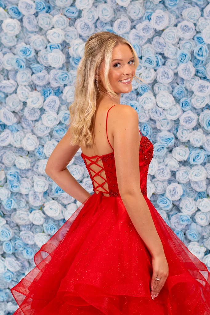 Estelle Prom Dress - Image 8