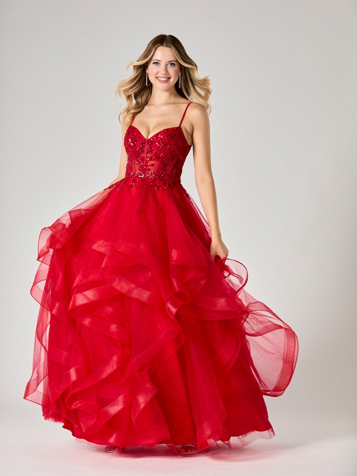 Beth Prom Dress - Image 3